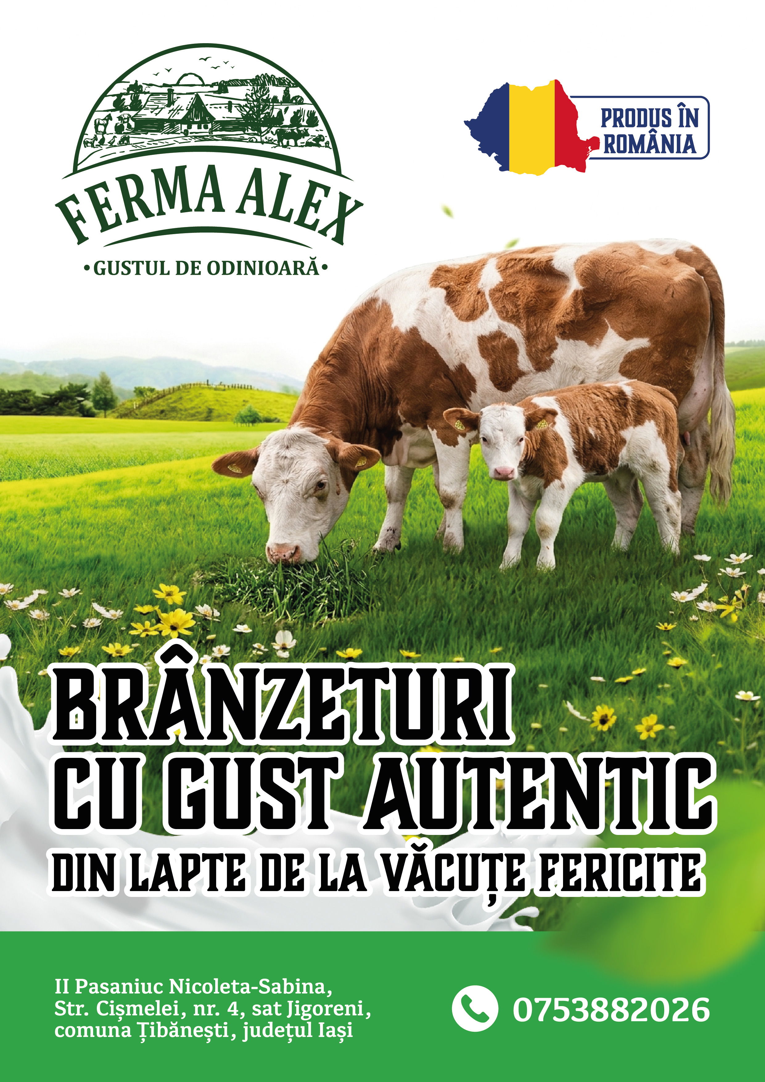 Afiș Ferma Alex 02